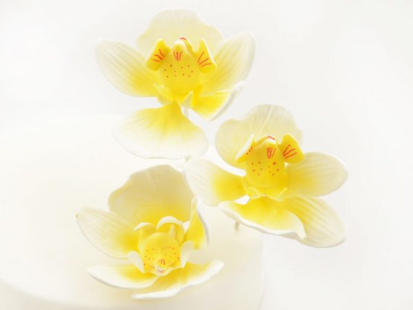 Cake-Masters Feinzucker Blüten Moth Orchidee 3er