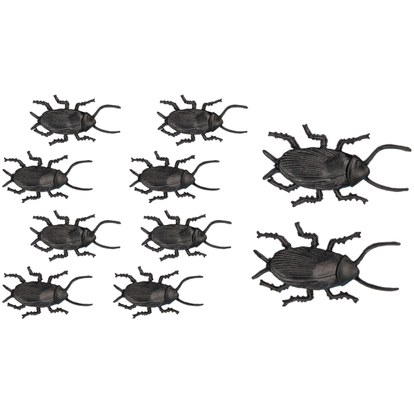 10 Kakerlaken braun Länge 5 cm