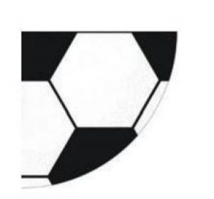 12 Fußball Servietten Papier