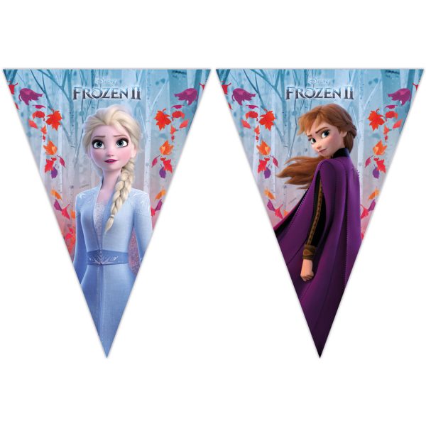 Banner Frozen 2