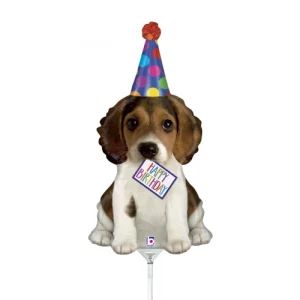 Birthday Puppy 40cm