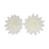 FunCakes Essbare Papierblumen Deluxe Aster Weiß Mittel pk/14