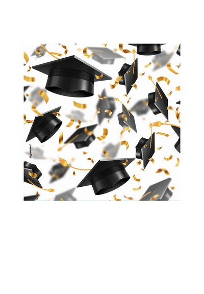 20 Servietten Absolventen Graduation Abschluss