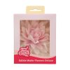 FunCakes2025_F53780_FunCakes_Peony_Pink_Ombre_Large_1_jpg_1 FunCakes Essbare Papierblumen Deluxe Pfingstrose Rosa Ombre Groß pk/1