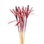 10 Folienspitzen rosegold 24cm