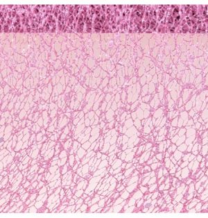 ruban-de-table-glitter-10cmx5m-vieux-rose Glitzer-Tischband 10 cm x 5 m, Pink