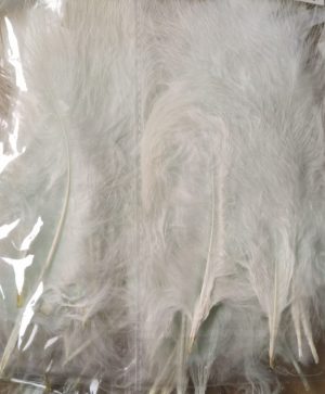 IMG-20251117-WA0050 5 Federn, 10-15 cm, Pastelgrün