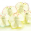 11835_CM118350 Cake-Masters Schmetterlinge Zucker 5 Stück