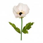 Riesenanemone auf einem Stiel 105 cm