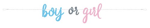 buchstabengirlande-gender-reveal-boy-or-girl-213cm-5804-de-G Buchstabengirlande Gender Reveal ’Boy Or Girl’ (213cm)