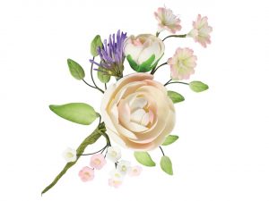 Culpitt Zucker Bouquet Ranunkel