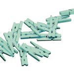 20 Mini Wäscheklammer minze
