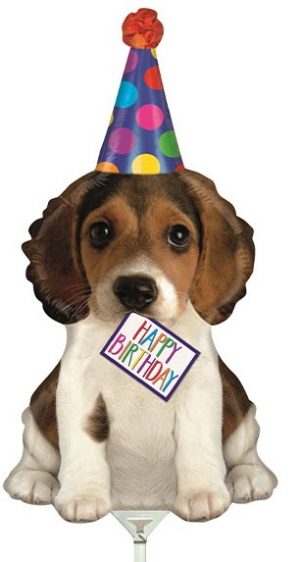 Air filled Mini Shape  Birthday Puppy 36cm
