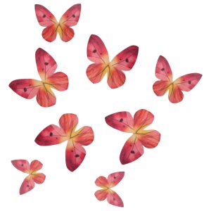 20000_04-0-0587_image Wilton Edible Wafer Decorations Butterflies Ombre Pink set/8